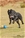 Ch. GALADRIEL DEL ROSSO MALPELO - Triola Cane Corso